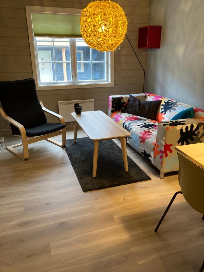 Oppdal Alpintunアパートメント エクステリア 写真